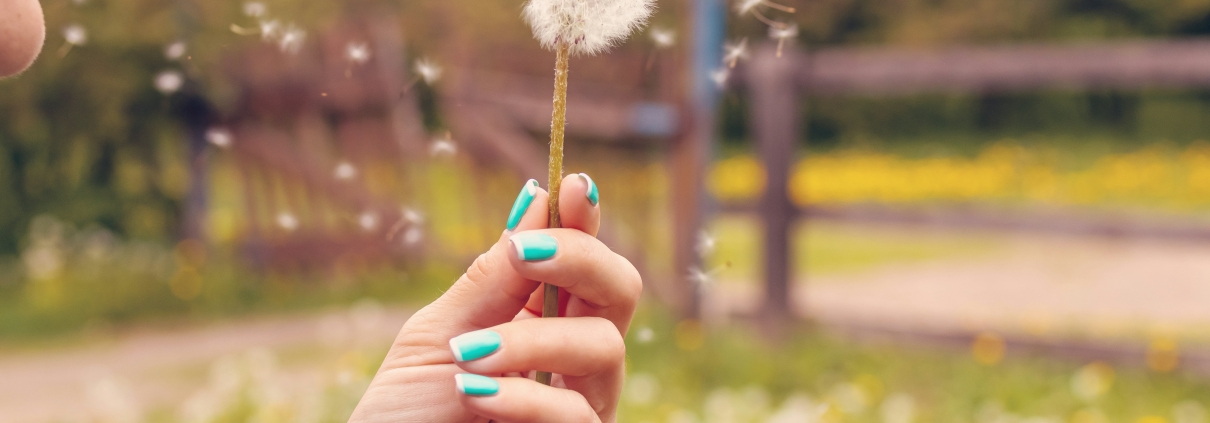 Lente betekent pollen! Wij geven tips om geïrriteerde ogen bij hooikoorts te voorkomen.