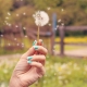 Lente betekent pollen! Wij geven tips om geïrriteerde ogen bij hooikoorts te voorkomen.